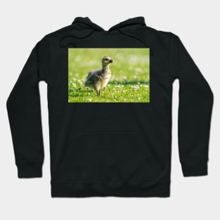 Gosling Hoodie